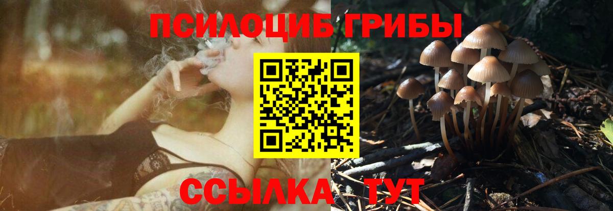 Псилоцибиновые грибы Psilocybine cubensis  Вход с VPN  Алатырь 